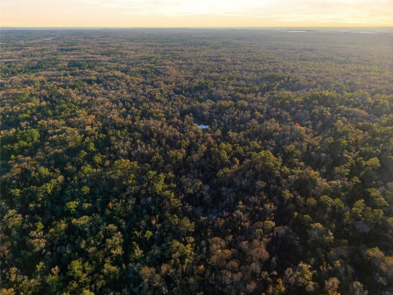 00 Clayton Road, Cedar Key, FL 32625 Photo