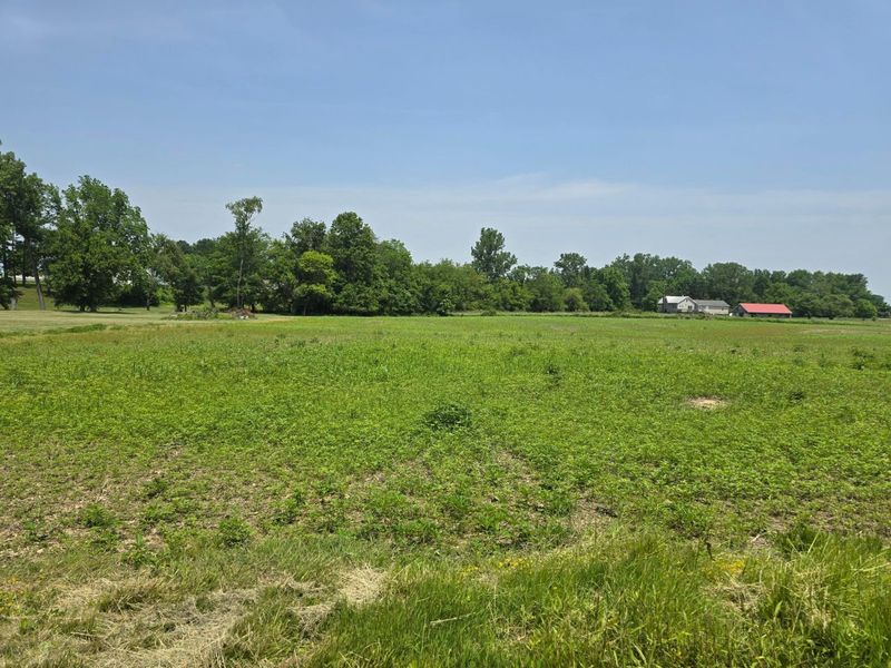 002 Reichelderfer Street, Cardington, OH 43315 Photo 5