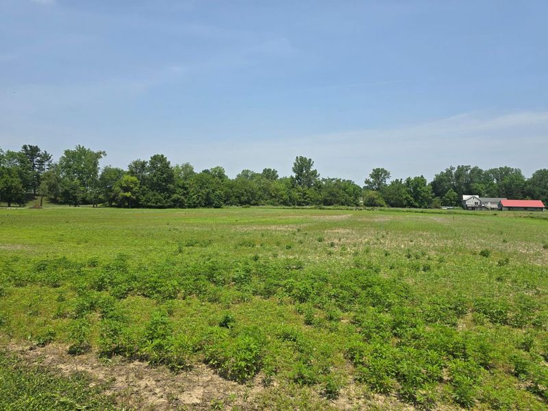 003 Reichelderfer Street, Cardington, OH 43315 Photo 3