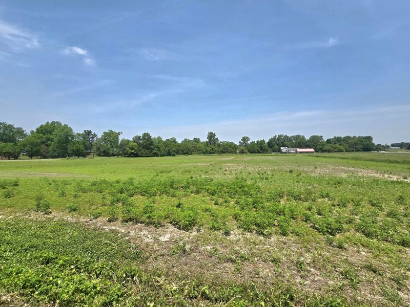 003 Reichelderfer Street, Cardington, OH 43315 Photo 4