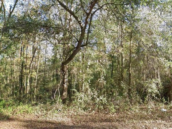 0 MOCCASIN GAP Road, Tallahassee, FL 32309