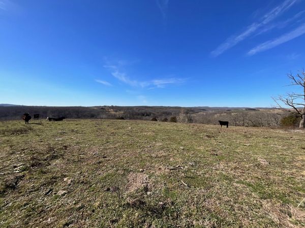 594 County Road 873, Thornfield, MO 65762