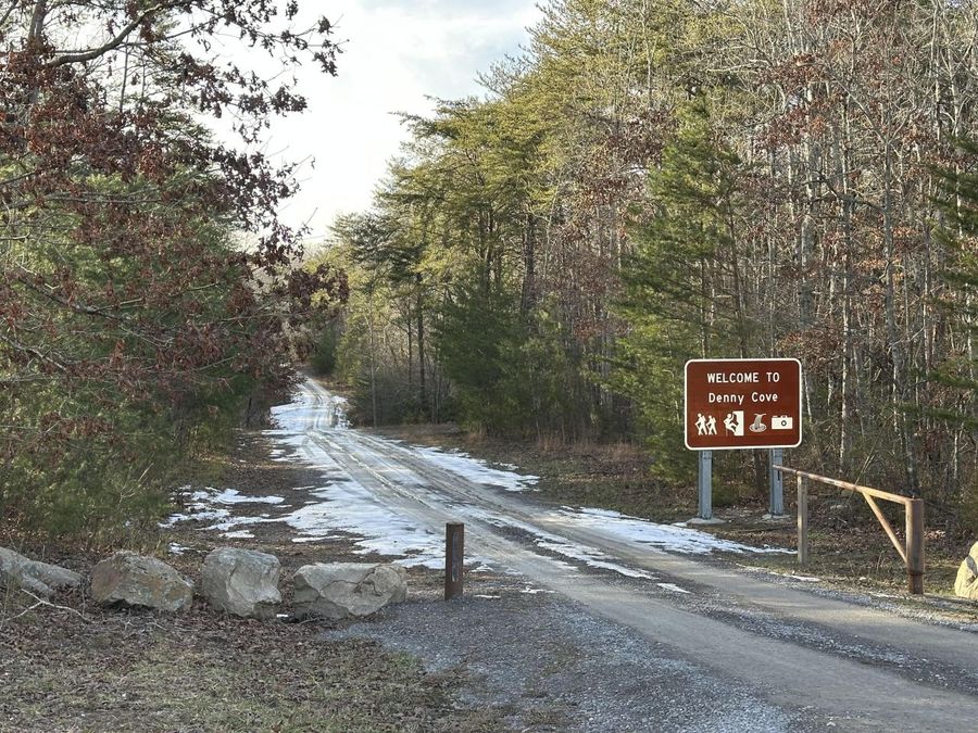Property Image 18