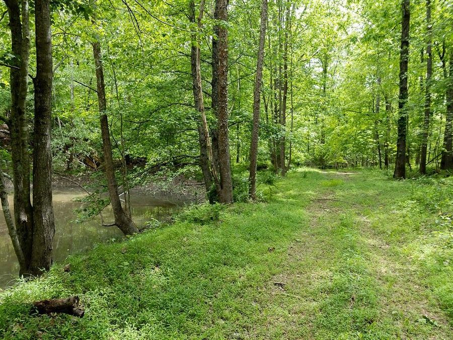 Property Image 28