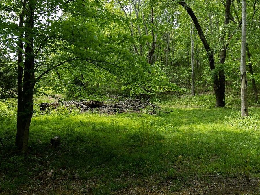 Property Image 36