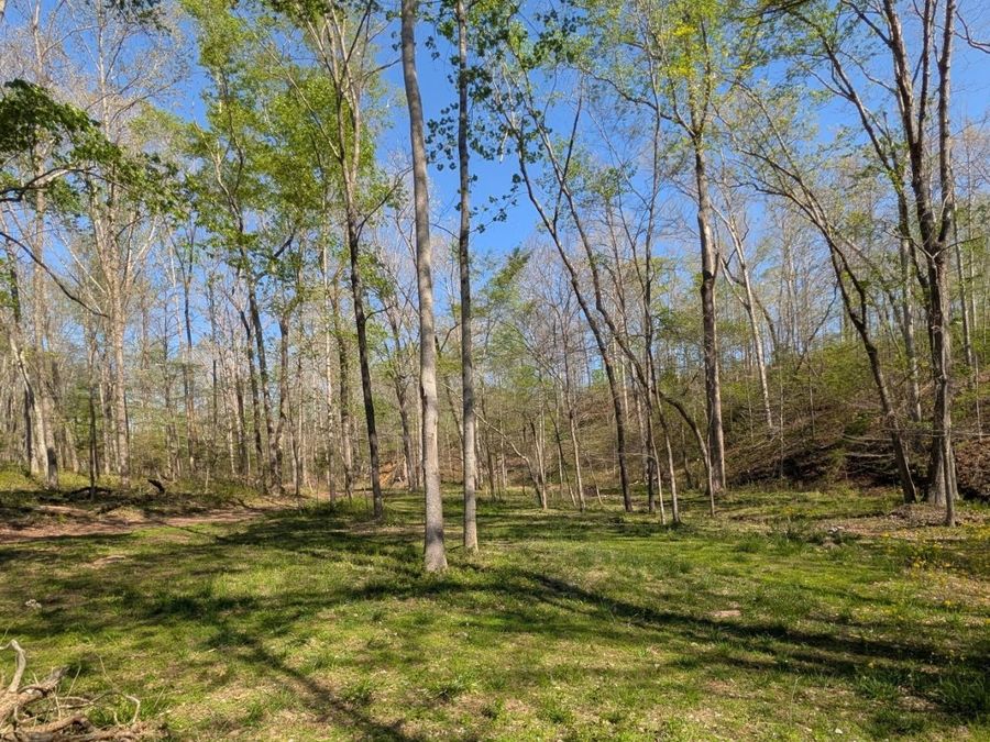Property Image 7