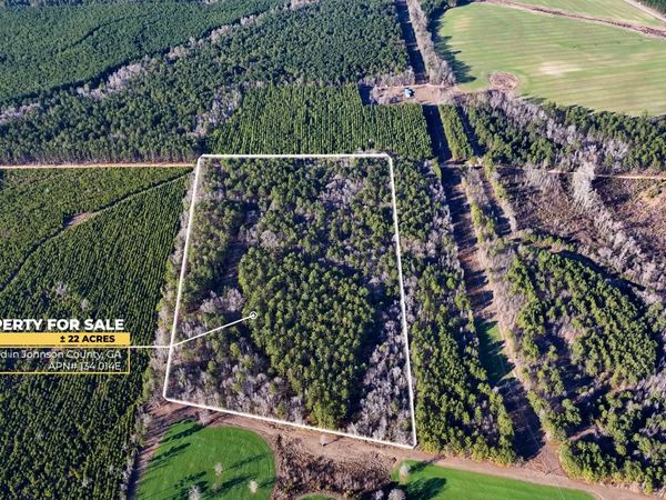 675 Jackson Road, Wrightsville, GA 31096