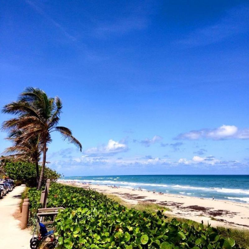 1320 High Point Place S, Unit C, Delray Beach, FL 33445 Photo