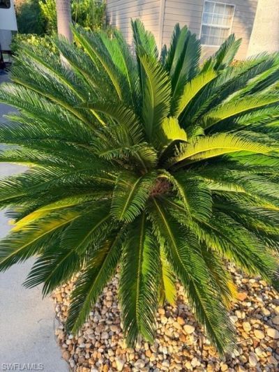 10345 Prairie Iris Trl, Fort Myers, FL 33905 Photo