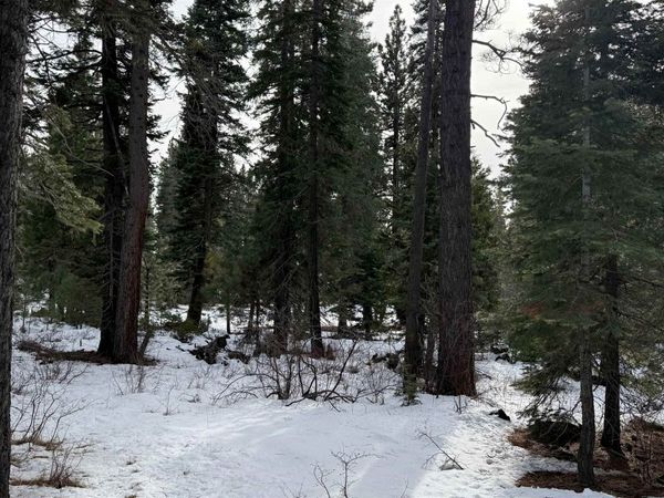 7464 Lily Avenue, Tahoe Vista, CA 96148