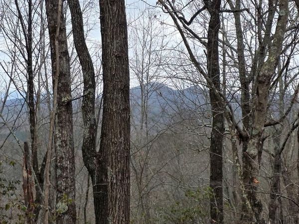 35AC Ducks Nest Road, Turtletown, TN 37391