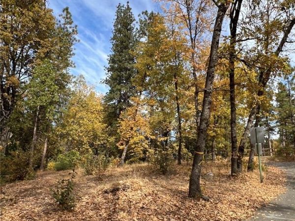 54692 Bluegill, Bass Lake, CA 93604