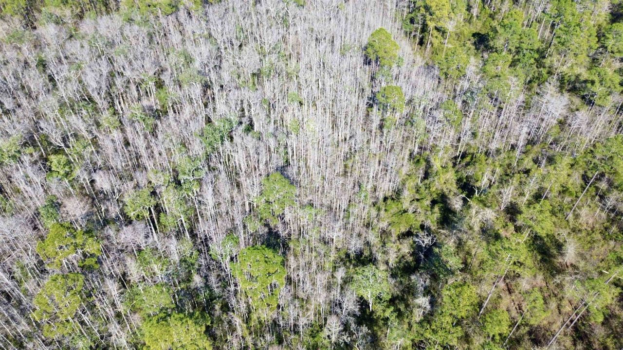 Vacant SW Open Sands Loop, Greenville, FL 32331 Photo