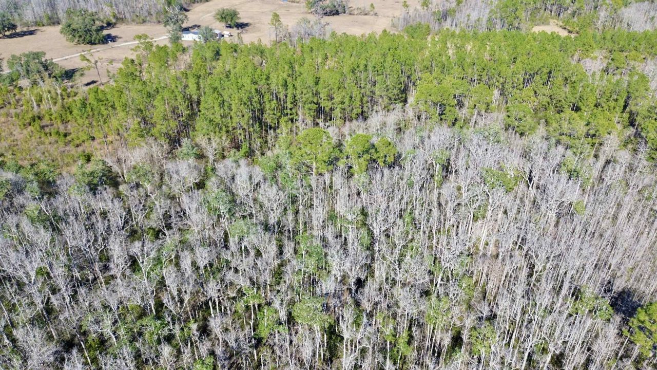 Vacant SW Open Sands Loop, Greenville, FL 32331 Photo