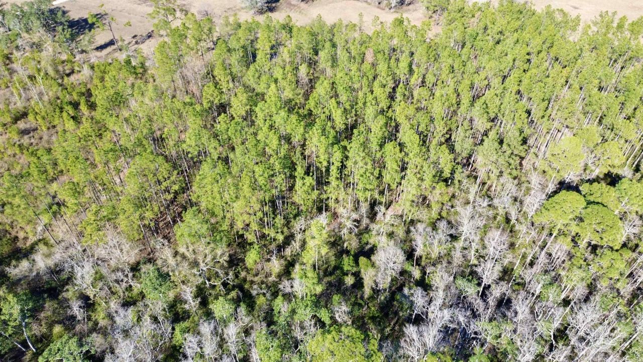 Vacant SW Open Sands Loop, Greenville, FL 32331 Photo