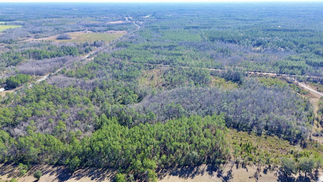 Vacant SW Open Sands Loop, Greenville, FL 32331 Photo