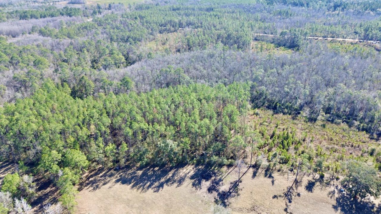 Vacant SW Open Sands Loop, Greenville, FL 32331 Photo