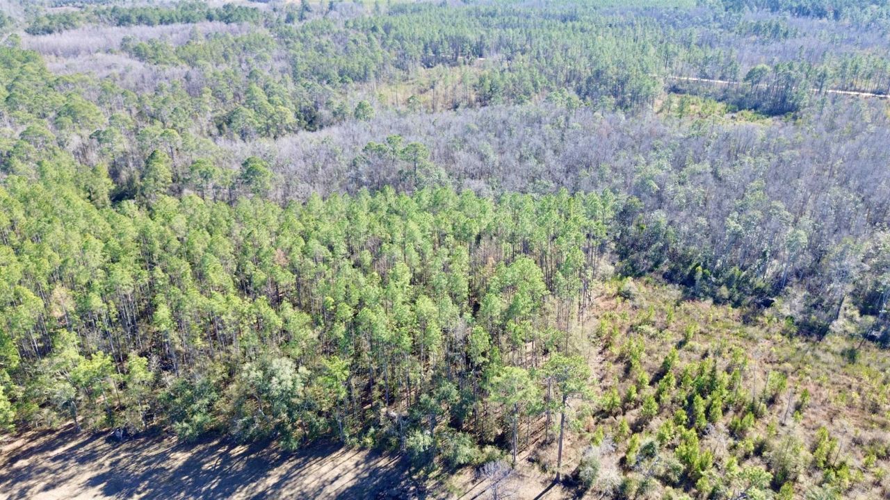Vacant SW Open Sands Loop, Greenville, FL 32331 Photo