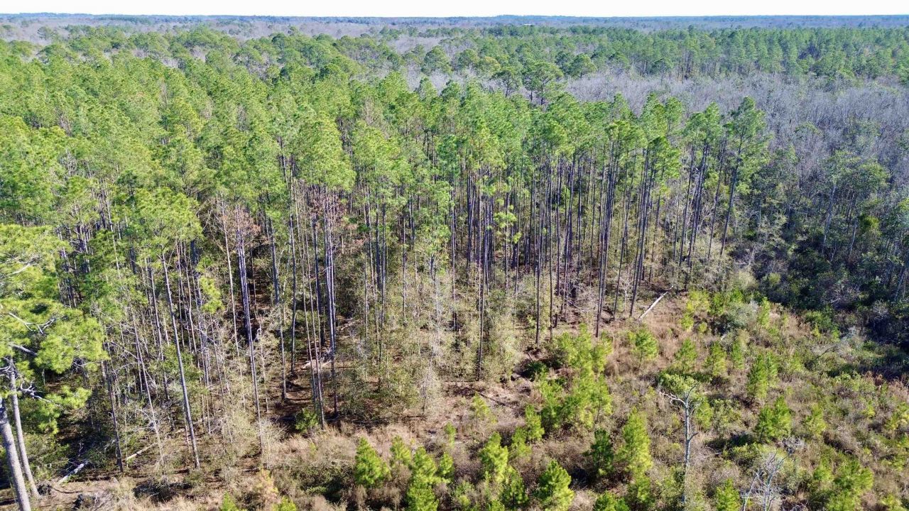 Vacant SW Open Sands Loop, Greenville, FL 32331 Photo