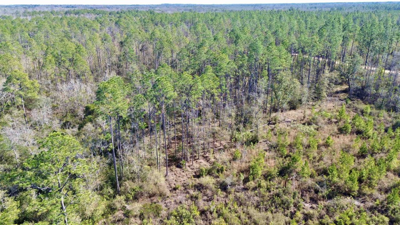 Vacant SW Open Sands Loop, Greenville, FL 32331 Photo