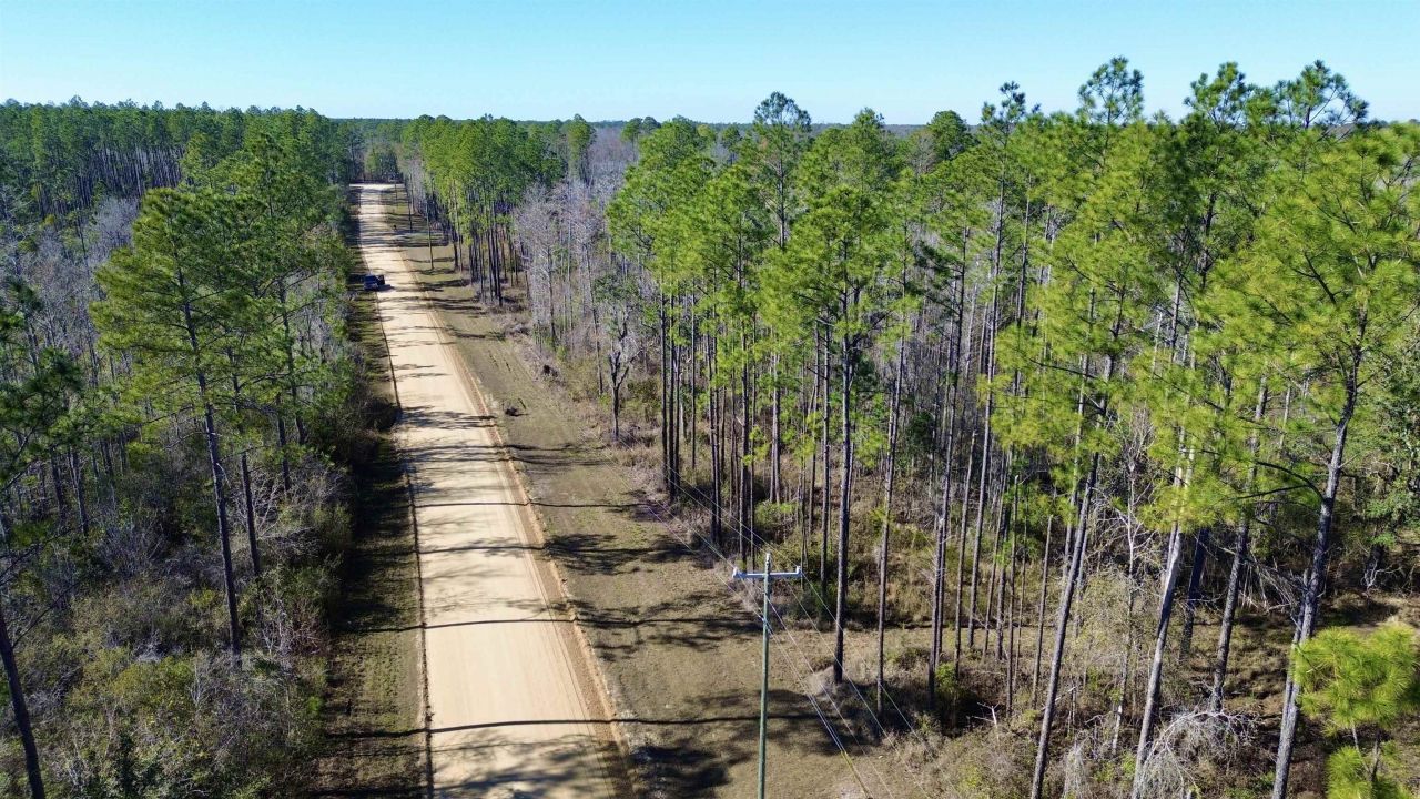Vacant SW Open Sands Loop, Greenville, FL 32331 Photo