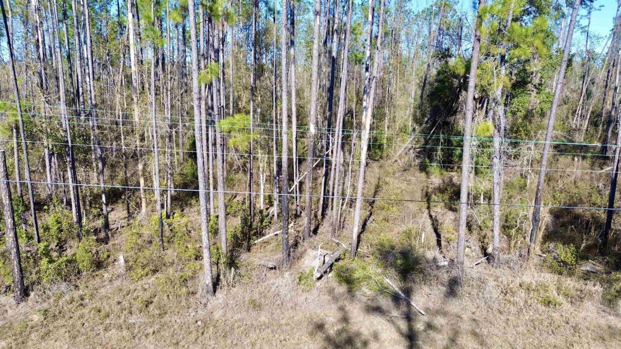 Vacant SW Open Sands Loop, Greenville, FL 32331 Photo