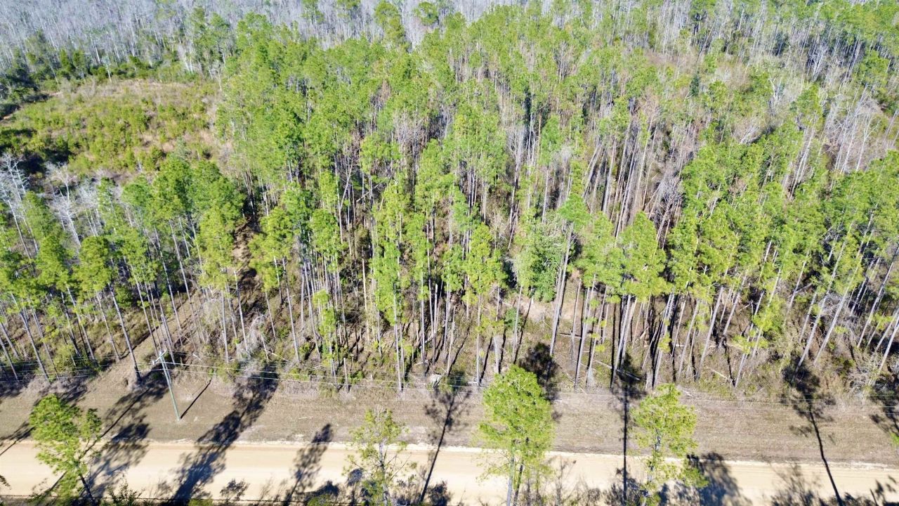 Vacant SW Open Sands Loop, Greenville, FL 32331 Photo