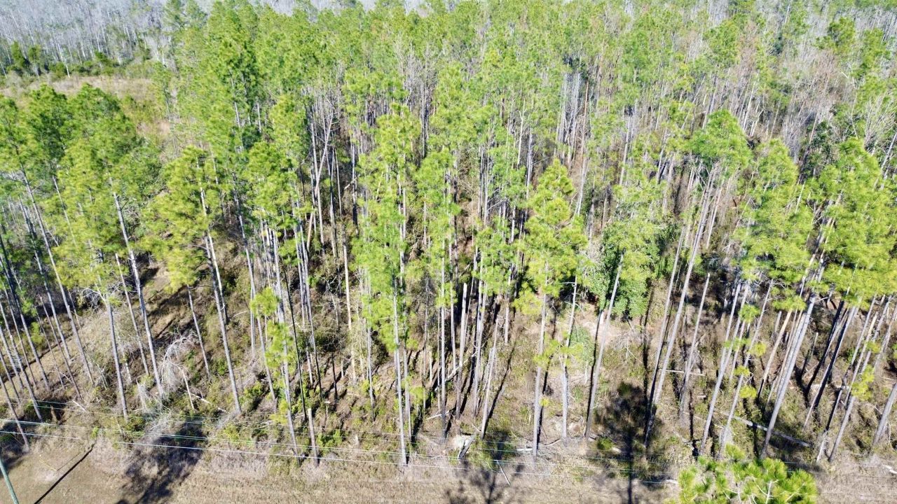 Vacant SW Open Sands Loop, Greenville, FL 32331 Photo