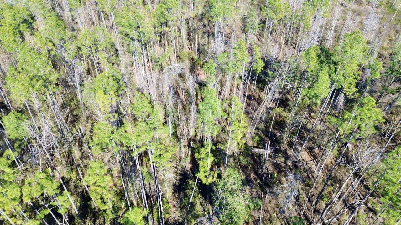 Vacant SW Open Sands Loop, Greenville, FL 32331 Photo