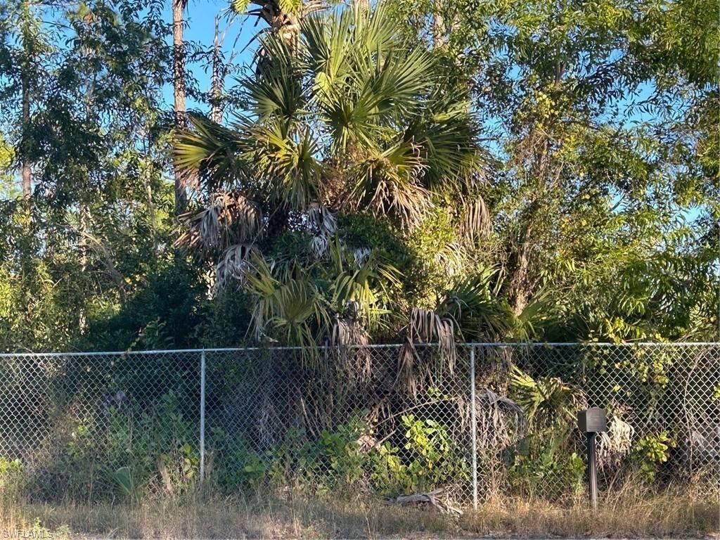 1190 Ivy Way, Naples, FL 34117 Photo