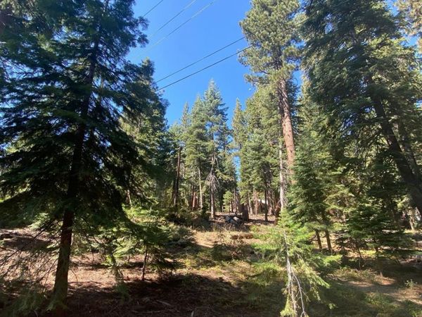 7464 Lily Ave, Tahoe Vista, CA 96148