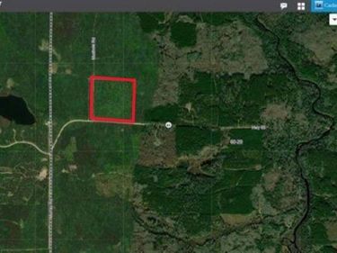 TBD Mud Hole Rd, Side Lake, MN 55781