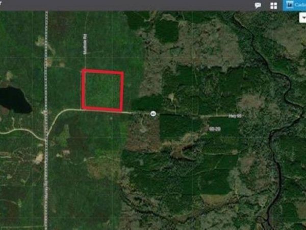 TBD Mud Hole Rd, Side Lake, MN 55781