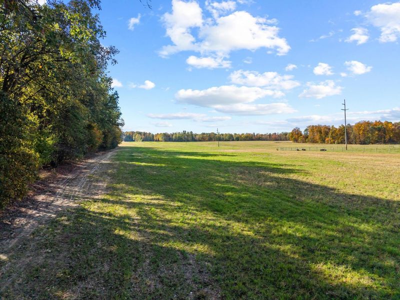 001 County Road 23, Cardington, OH 43315 Photo 35