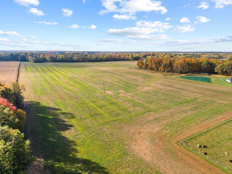 001 County Road 23, Cardington, OH 43315 Photo 4