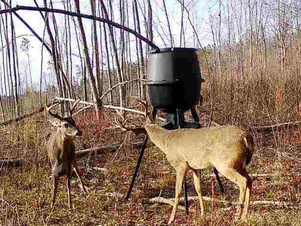 County Road 1115 , Kosciusko, MS 39090