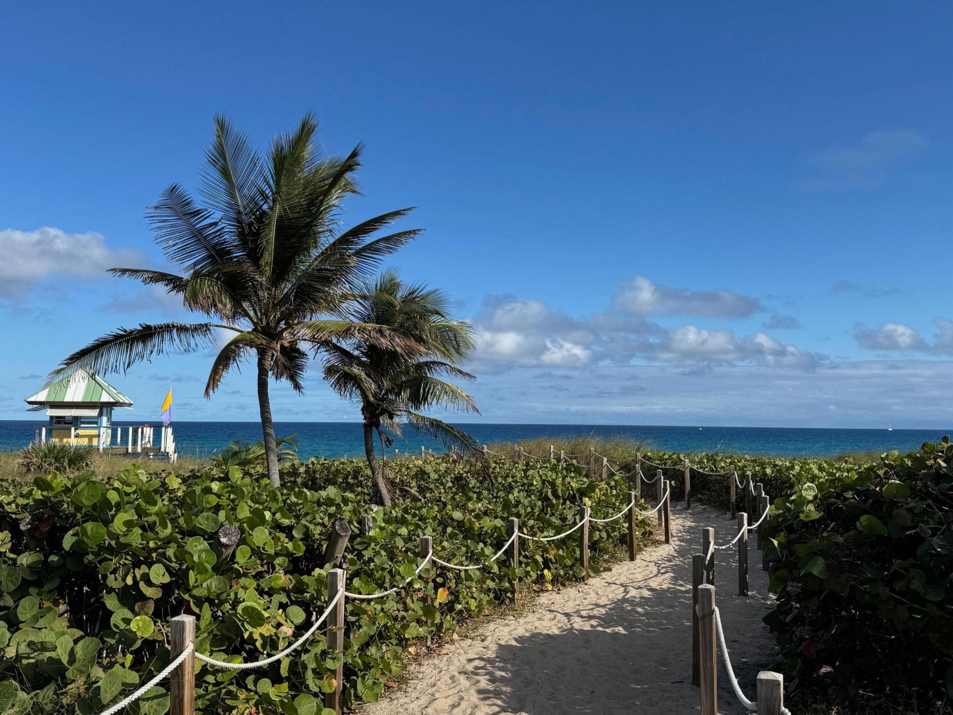 200 NE 2nd Avenue, Unit 310, Delray Beach, FL 33444 Photo