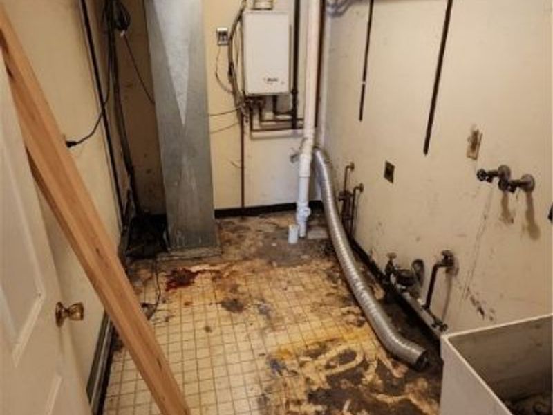 858 Marcie Drive, Cleveland, OH 44109 Photo 13