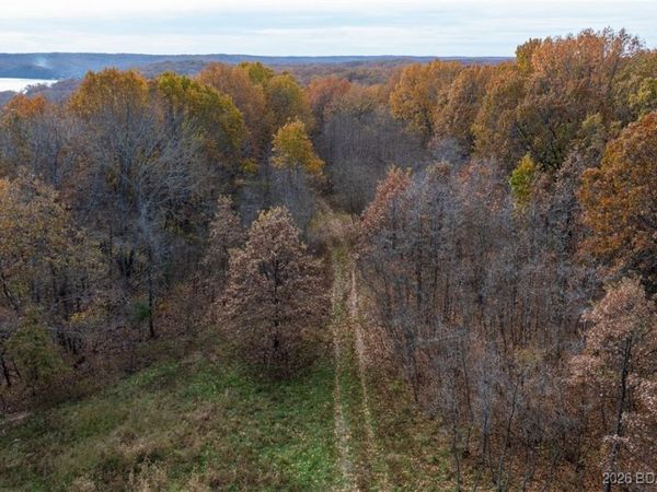 53 Acres Buckridge Road, Climax Springs, MO 65324