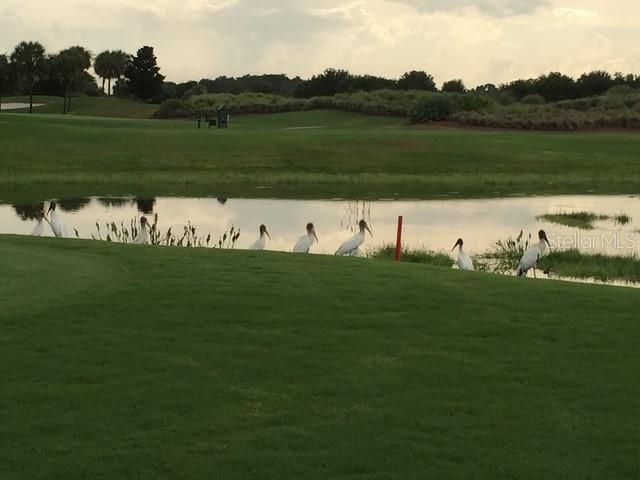 1587 Hartsville Trail, The Villages, FL 32162 Photo