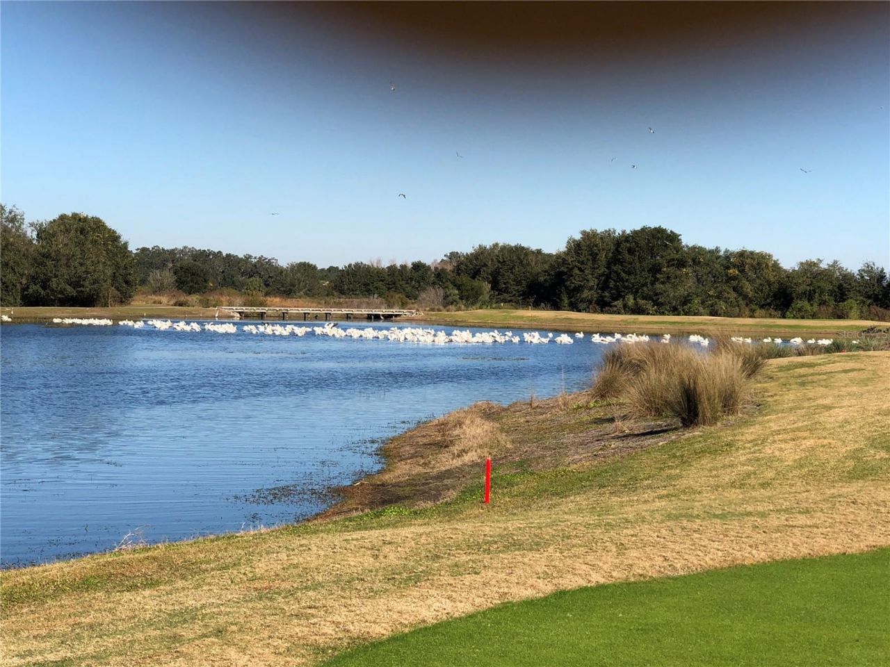 1587 Hartsville Trail, The Villages, FL 32162 Photo