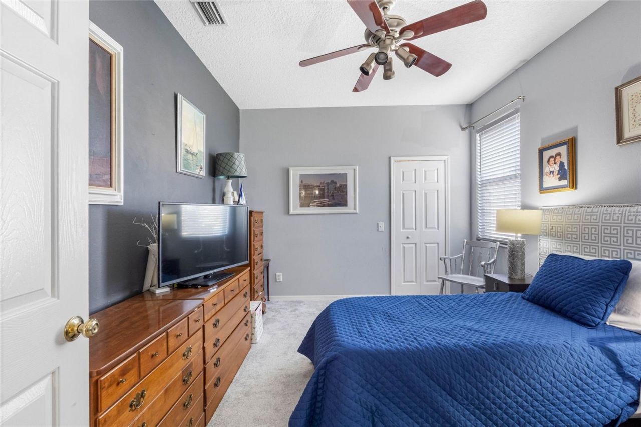 10746 Firebrick Court, Trinity, FL 34655 Photo