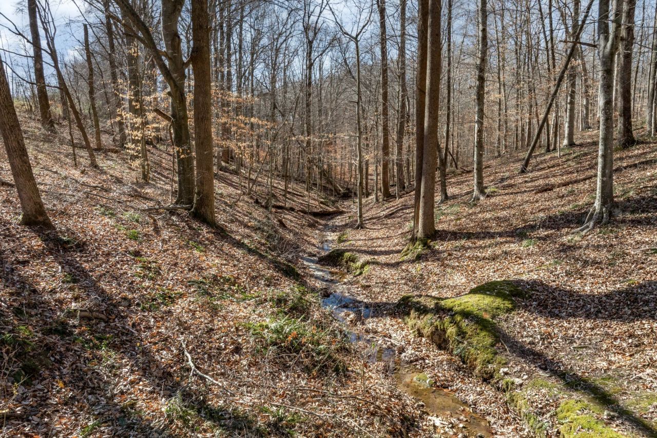 5675 Natchez Trace Rd, Franklin, TN 37064 Main Photo