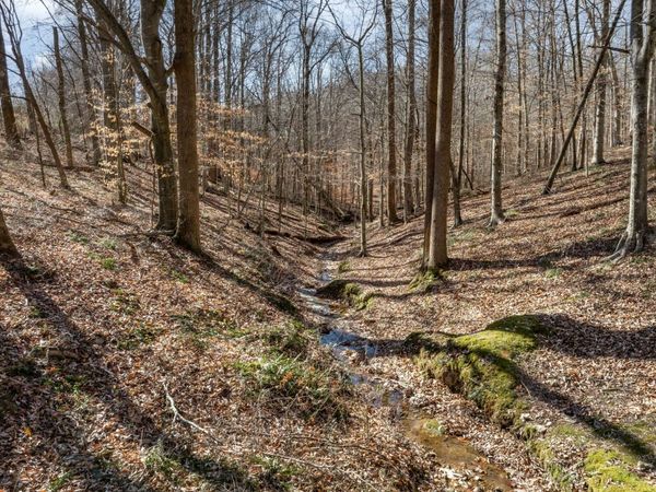 5675 Natchez Trace Rd, Franklin, TN 37064