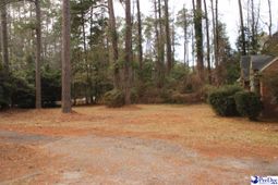 12 Bayswater Rd. photo 4