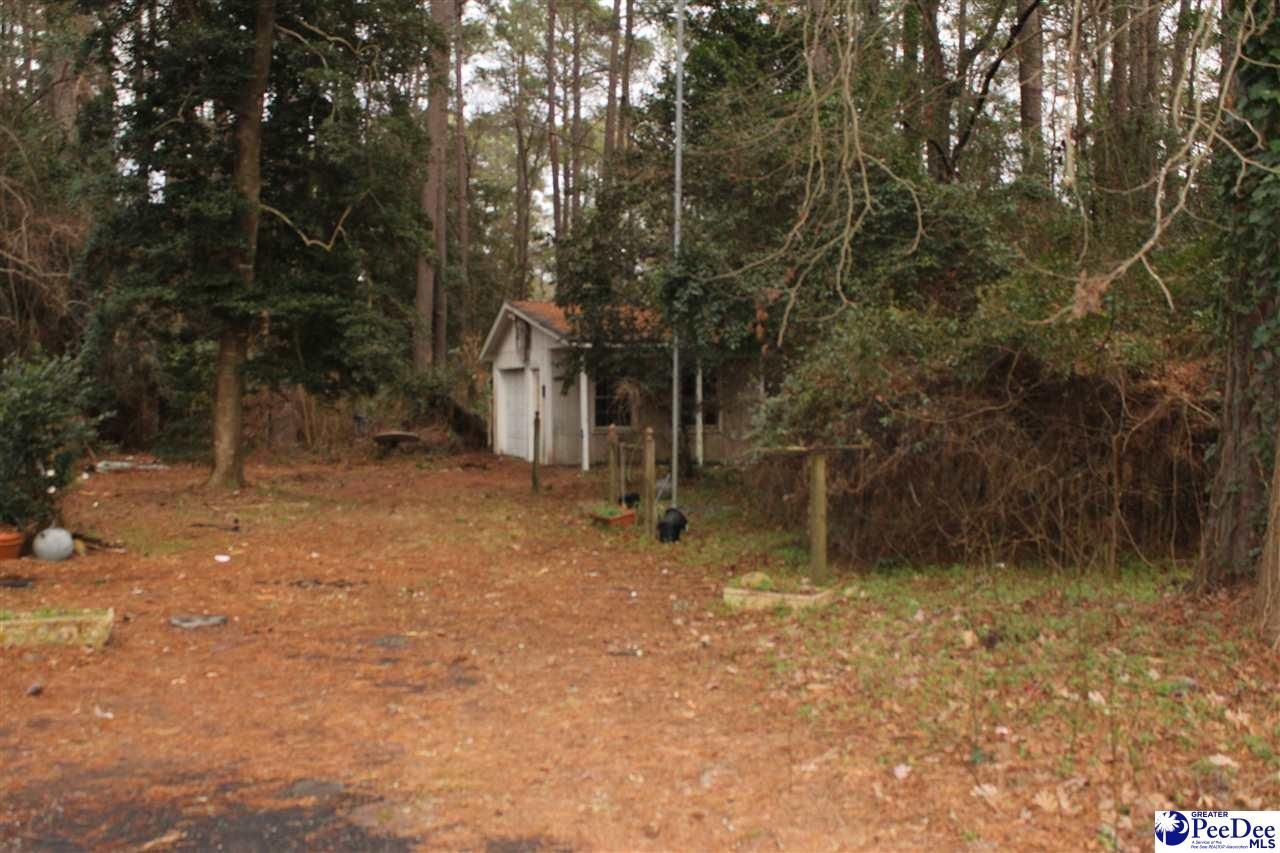 12 Bayswater Rd. Photo 6