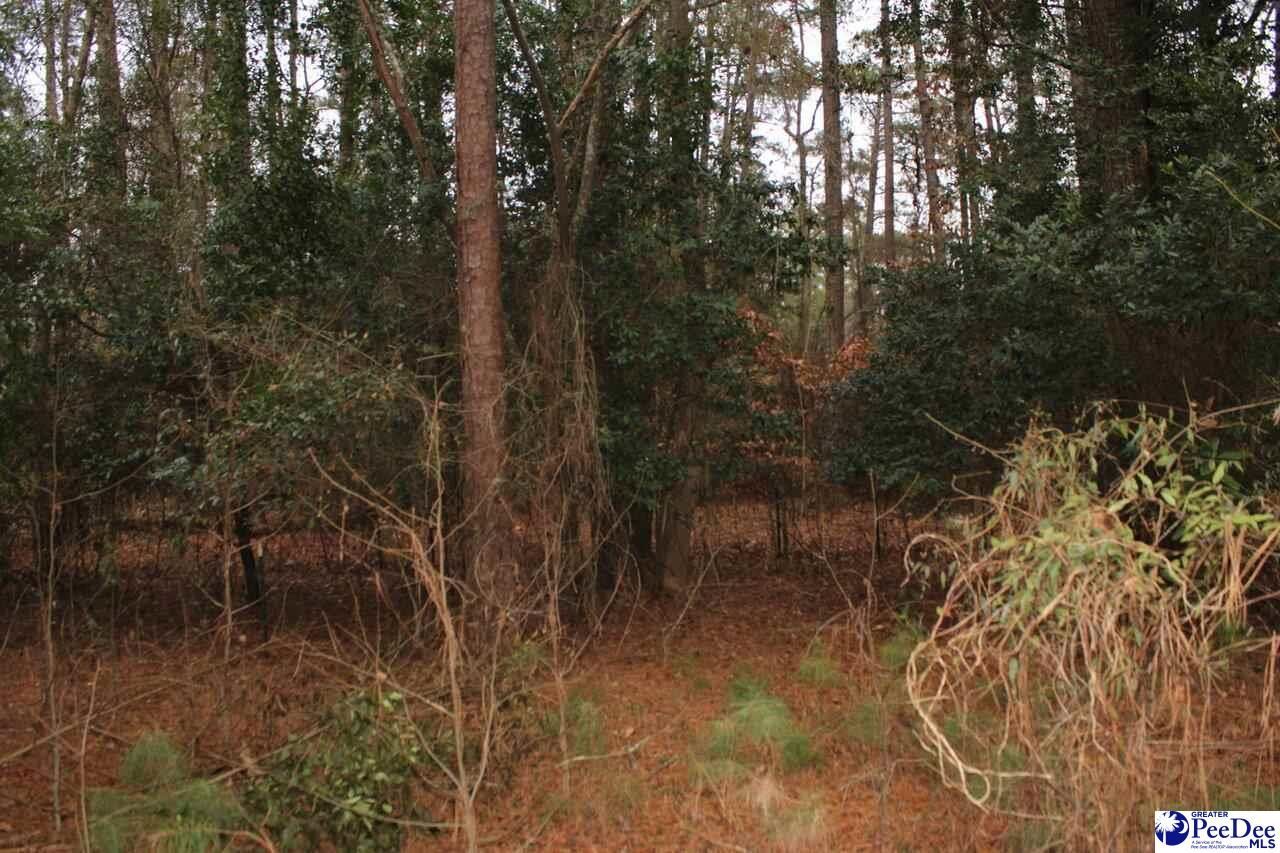 12 Bayswater Rd. Photo 8