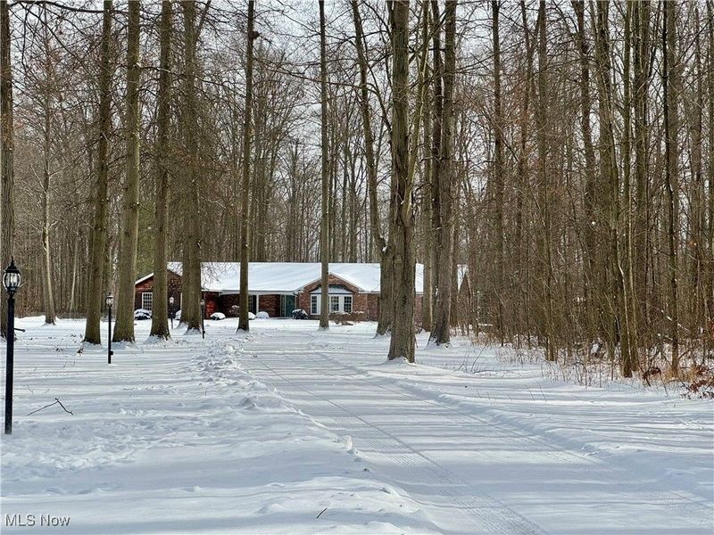 37505 Flint Ridge Drive, Grafton, OH 44044 Photo 2