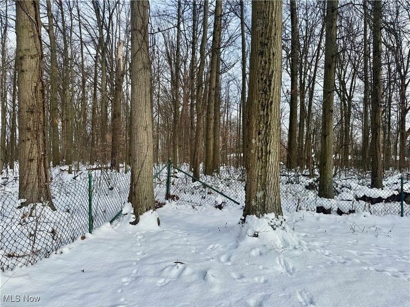 37505 Flint Ridge Drive, Grafton, OH 44044 Photo 45