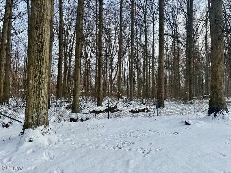 37505 Flint Ridge Drive, Grafton, OH 44044 Photo 46